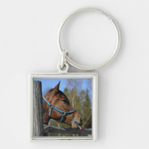 Paardensleutelketen Sleutelhanger