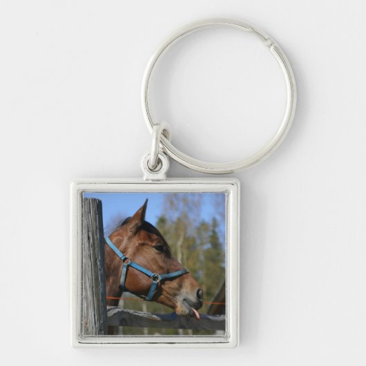 Paardensleutelketen Sleutelhanger (Voorkant)