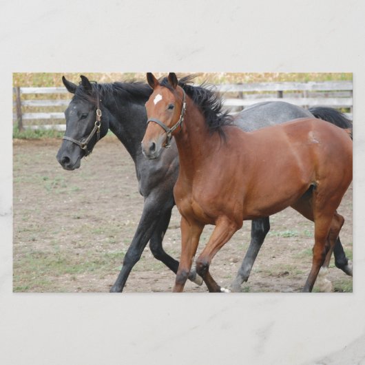 Paardenspel Briefpapier (Voorkant)