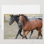 Paardenspel Briefpapier (Voorkant / Achterkant)