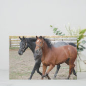 Paardenspel Briefpapier (Staand voorkant)