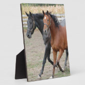 Paardenspel Fotoplaat (Zijkant)