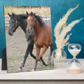 Paardenspel Fotoplaat (Zijkant)