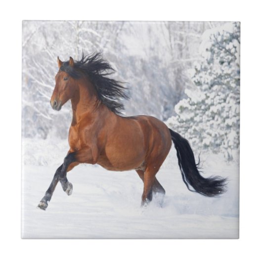Paardenspel in de sneeuw tegeltje (Voorkant)