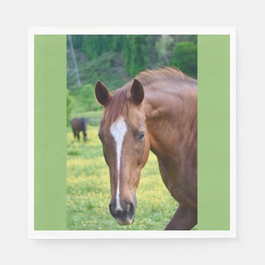 paardenspel servet (Voorkant)