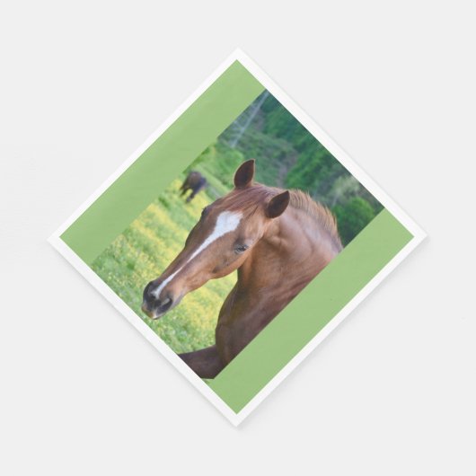 paardenspel servet (Hoek)