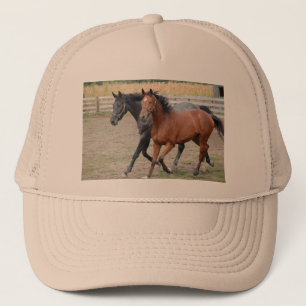 Paardenspel Trucker Pet