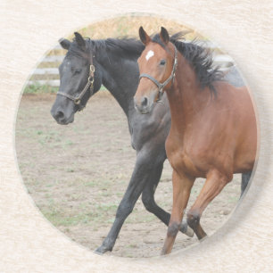 Paardenspel Zandsteen Onderzetter
