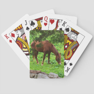 Paardenspelkaarten Speelkaarten