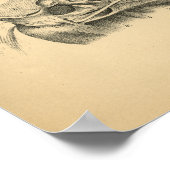 Paardenspier Anatomie 1908 afdrukken Poster (Hoek)