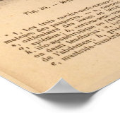 Paardenspier Anatomie Franse afdruk Poster (Hoek)