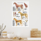 Paardenspieren Skeletspierstelsel- en anatomische  Poster (Keuken)
