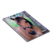 Paardenspiraalnotitieboek Notitieboek (Rechterzijde)