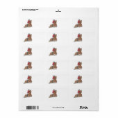 Paardensport 3 etiket (Full Sheet)
