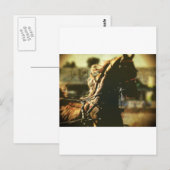 Paardensport | Zuiver vermogen Briefkaart (Voorkant / Achterkant)