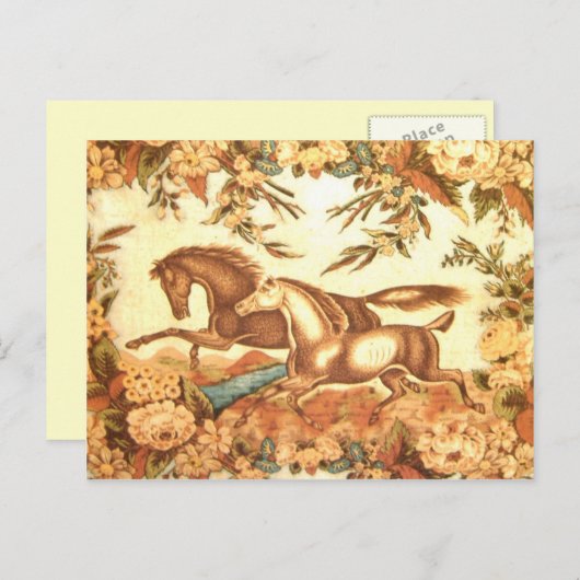 PaardensportBriefkaart 1 Aankondigingskaart (Voorkant / Achterkant)