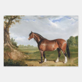 Paardensportolie Schilderen  ontkoppeling Inpakpapier Vel (Voorkant 3)