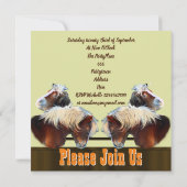 Paardensportpartij Kaart (Achterkant)