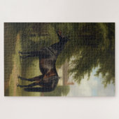  paardensportschokken legpuzzel (Horizontaal)