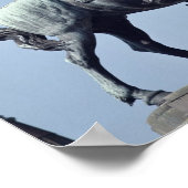 Paardensportstandbeeld Charles Gustav X. , Poster (Hoek)