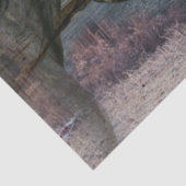 paardenstal-eau-de-vie tissuepapier (Detail)