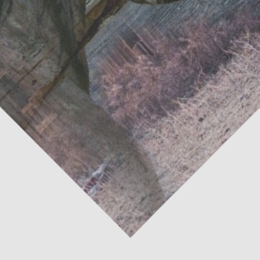 paardenstal-eau-de-vie tissuepapier (Detail)