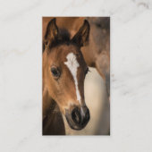 Paardenstallen - Professioneel Visitekaartje Afsprakenkaartje (Voorkant)