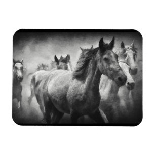 Paardenstampede Magnet Magneet