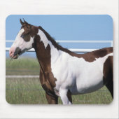 Paardenstand verven muismat (Voorkant)