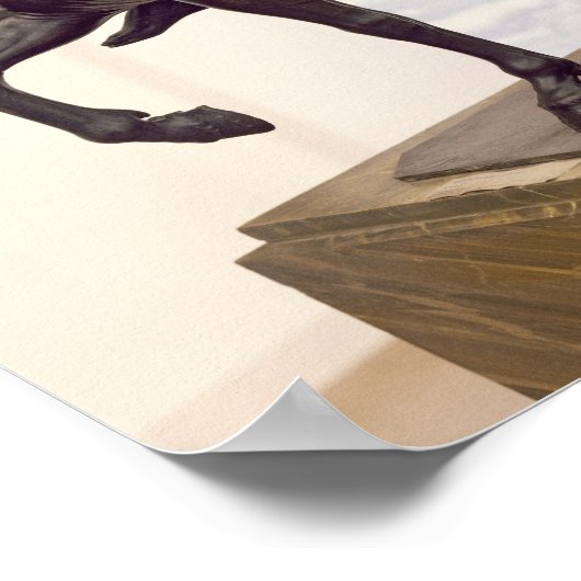 Paardenstandbeeld van Louis XIV Poster (Hoek)