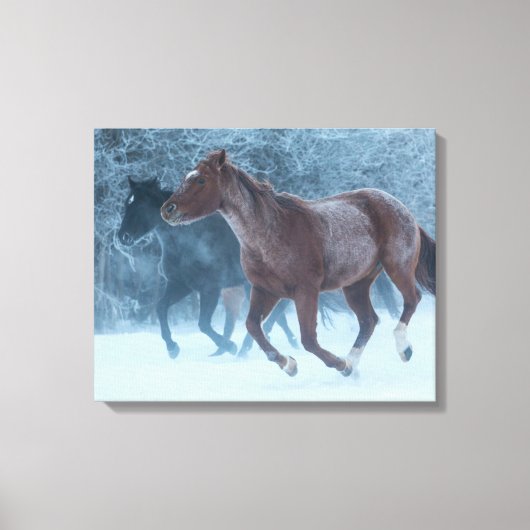 Paardenstation Canvas Afdruk (Voorkant)