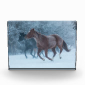 Paardenstation Fotoblokken (Voorkant)