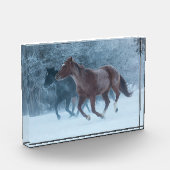 Paardenstation Fotoblokken (Links)