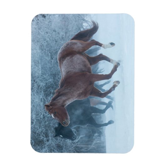 Paardenstation Magneet (Verticaal)