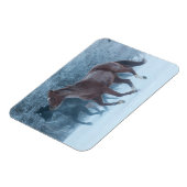 Paardenstation Magneet (Linkerzijde)