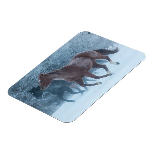 Paardenstation Magneet (Linkerzijde)