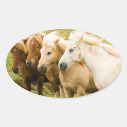Paardensticker Ovale Sticker (Voorkant)