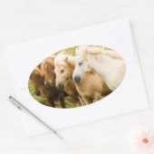 Paardensticker Ovale Sticker (Envelop)