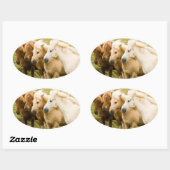 Paardensticker Ovale Sticker (Vel)