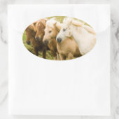 Paardensticker Ovale Sticker (Tas)