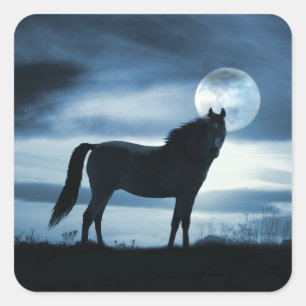 PaardenStickers: prachtig blauw en maan Vierkante Sticker