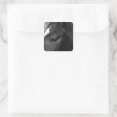 Paardenstokje Vierkante Sticker (Tas)