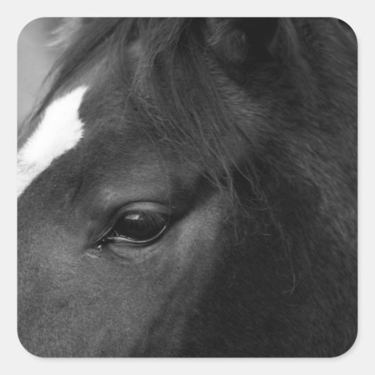 Paardenstokje Vierkante Sticker (Voorkant)
