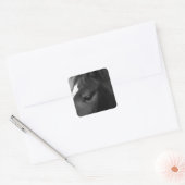 Paardenstokje Vierkante Sticker (Envelop)