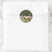 Paardenstokken Ronde Sticker (Tas)