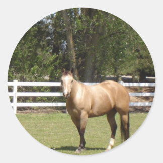 Paardenstokken Ronde Sticker