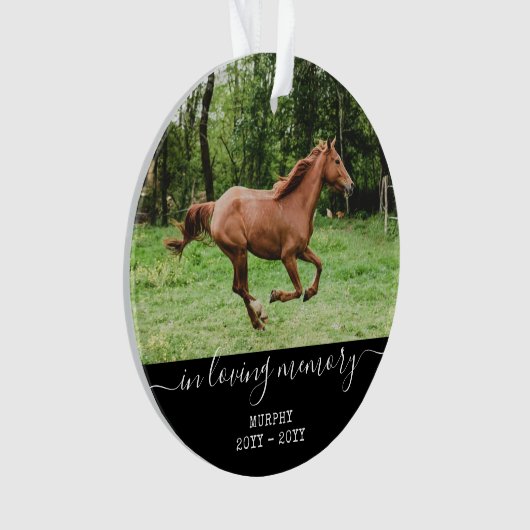 Paardensympathie Memorial Persoonlijk fotogeheugen Ornament (voorkant)