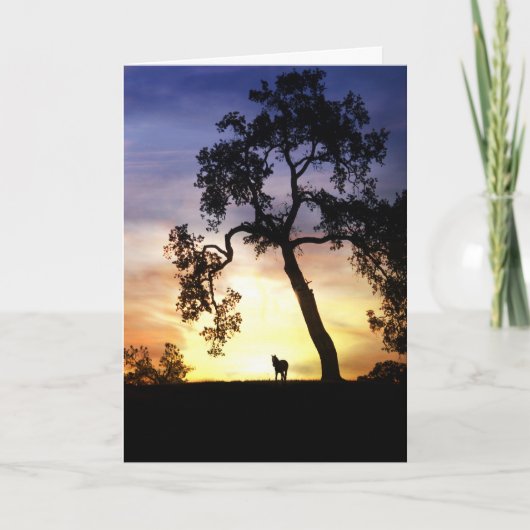 Paardensympathiekaart Kaart (Voorkant)