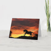 Paardensympathiekaart Kaart (Voorkant)