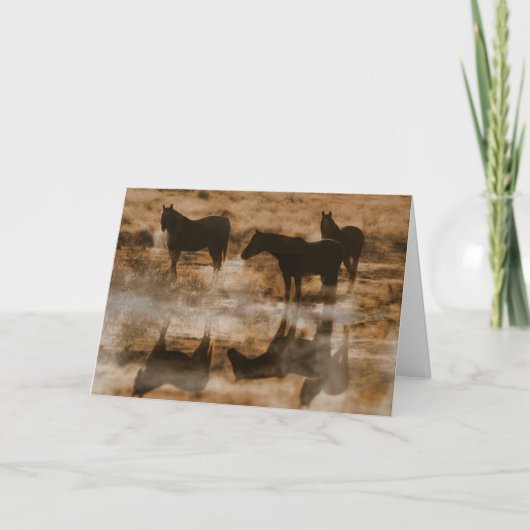Paardensympathiekaart Kaart (Voorkant)